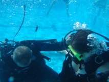 Vivi geht in das Wasser.