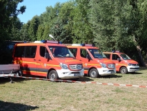 Schöne Autos und Sonnenschein!