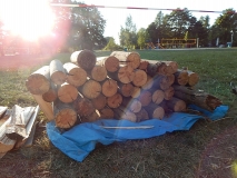 Scheite im Sonnenschein.