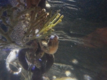 Es gibt viel zu sehen.